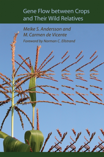 Gene Flow Between Crops and Their Wild Relatives, Hardback Book