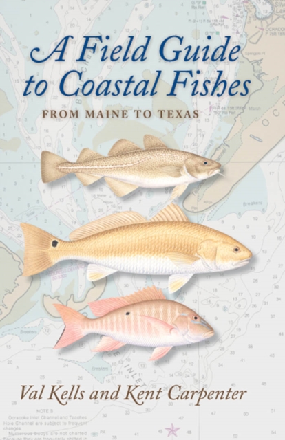 A Field Guide to Coastal Fishes : From Maine to Texas, Paperback / softback Book