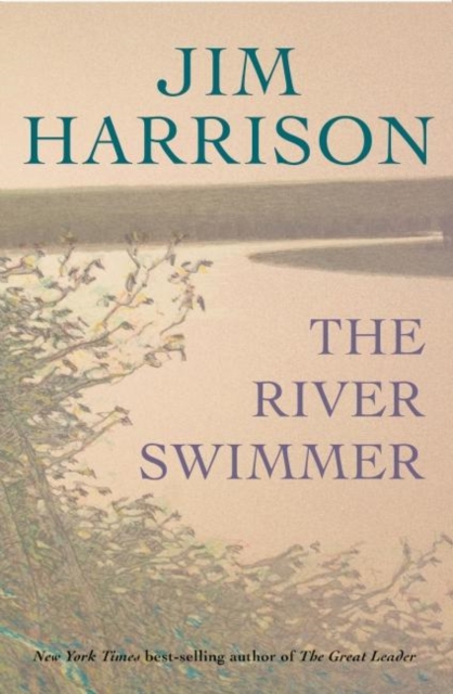 The River Swimmer, Paperback / softback Book