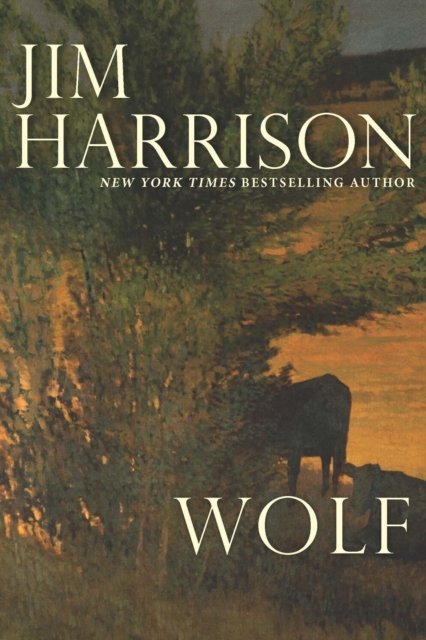 Wolf, Paperback / softback Book