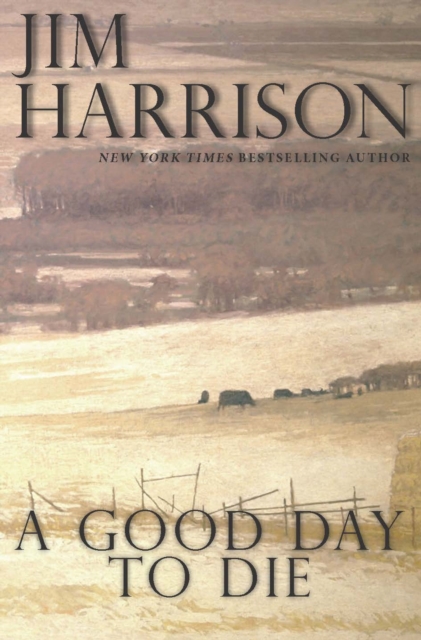 A Good Day to Die, Paperback / softback Book