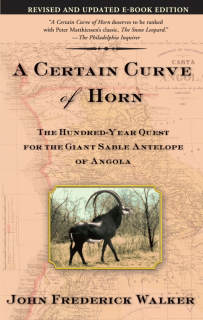 A Certain Curve of Horn : The Hundred-Year Quest for the Giant Sable Antelope of Angola, Paperback / softback Book