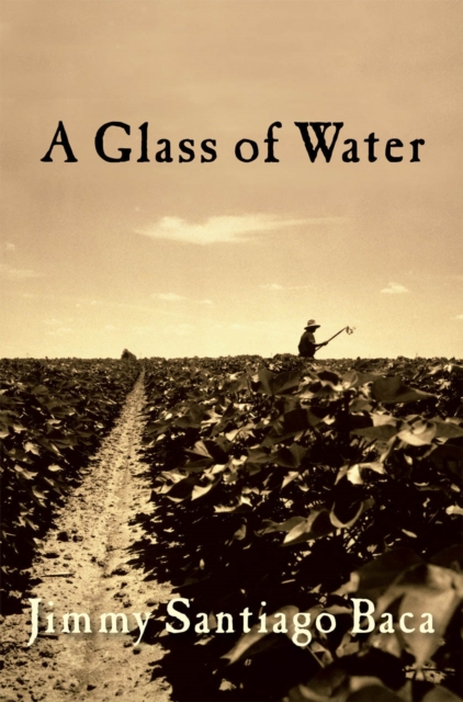 A Glass of Water, Paperback / softback Book