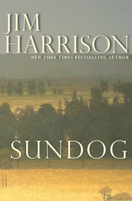 Sundog, Paperback / softback Book