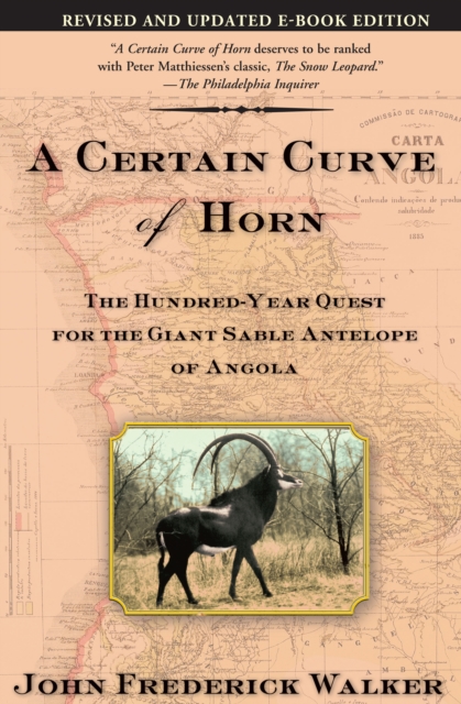 A Certain Curve of Horn : The Hundred-Year Quest for the Giant Sable Antelope of Angola, EPUB eBook