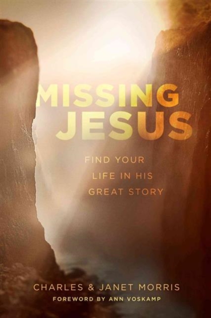 Missing Jesus, Paperback / softback Book