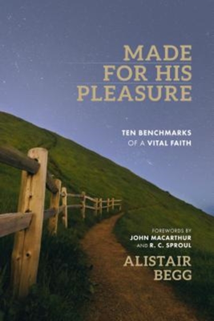 Made for His Pleasure, Paperback / softback Book