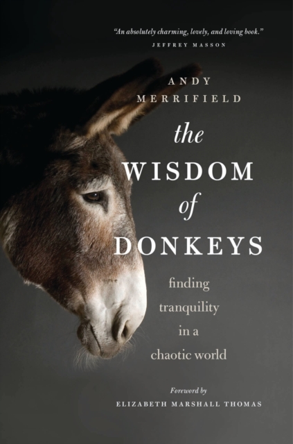The Wisdom of Donkeys : Finding Tranquility in a Chaotic World, EPUB eBook