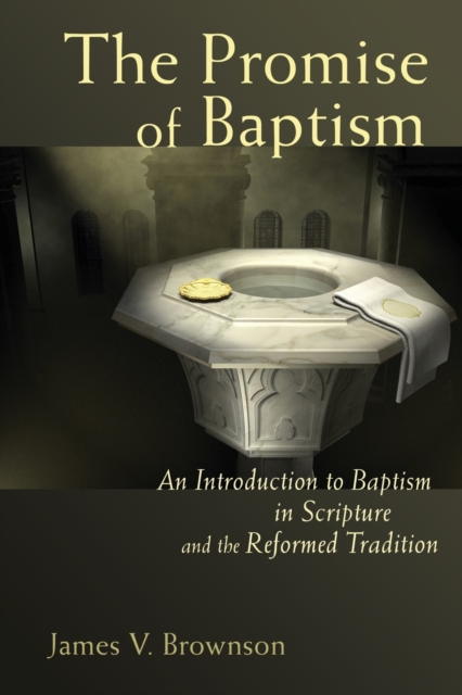 The Promise of Baptism : An Introduction to Baptism in Scripture and the Reformed Tradition, Paperback / softback Book