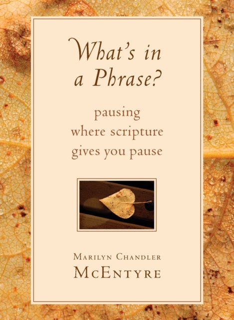 What's in a Phrase? : Pausing Where Scripture Gives You Pause, Paperback / softback Book