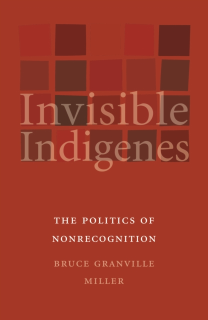 Invisible Indigenes : The Politics of Nonrecognition, PDF eBook