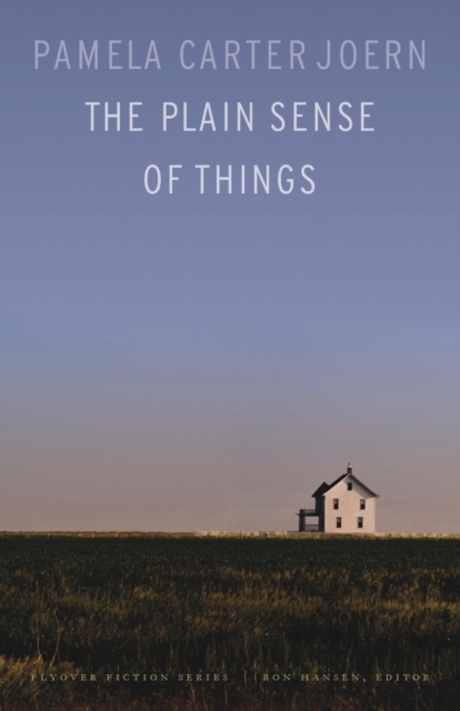 The Plain Sense of Things, Paperback / softback Book