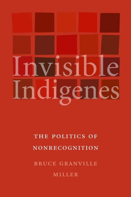 Invisible Indigenes : The Politics of Nonrecognition, Paperback / softback Book