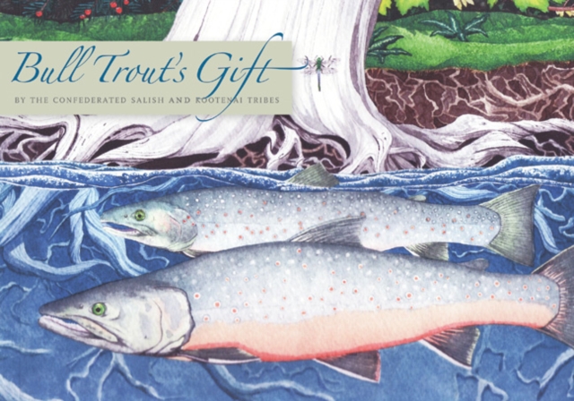 Bull Trout's Gift : A Salish Story about the Value of Reciprocity, Hardback Book