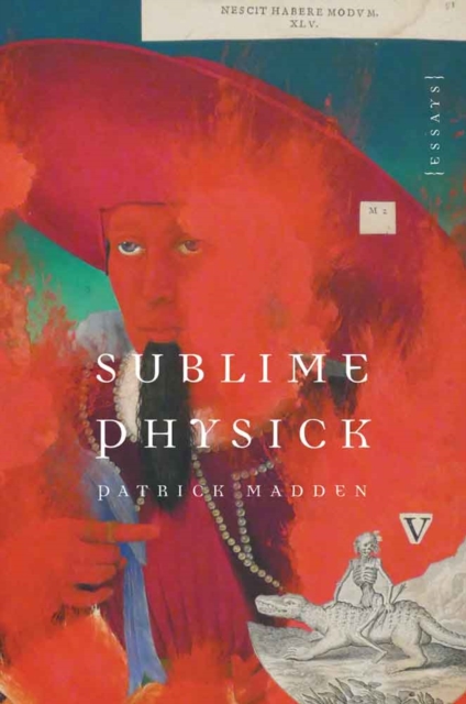 Sublime Physick : Essays, Hardback Book