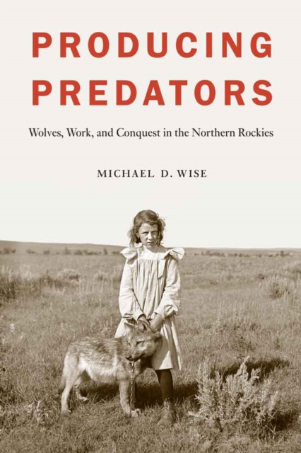 Producing Predators : Wolves, Work, and Conquest in the Northern Rockies, Hardback Book
