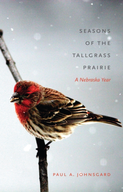 Seasons of the Tallgrass Prairie : A Nebraska Year, EPUB eBook