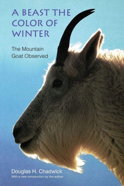 A Beast the Color of Winter : The Mountain Goat Observed, Paperback / softback Book