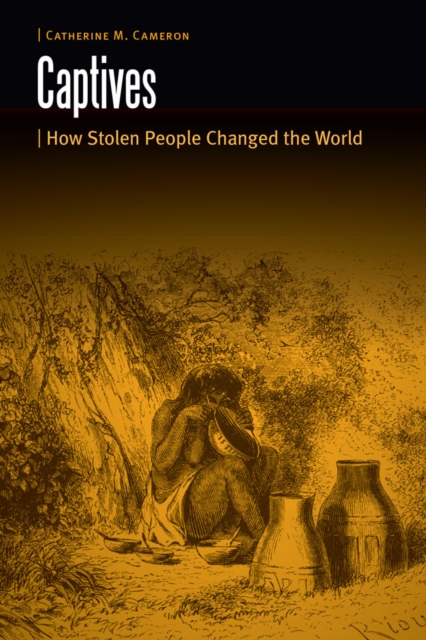 Captives : How Stolen People Changed the World, Hardback Book
