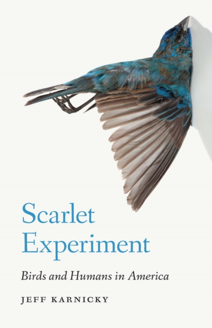 Scarlet Experiment : Birds and Humans in America, Hardback Book