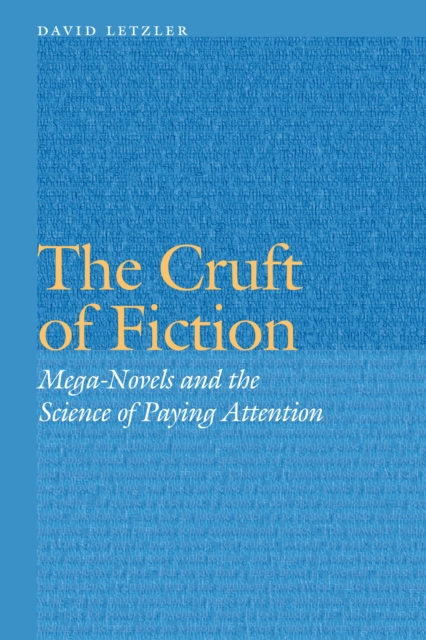 The Cruft of Fiction : Mega-Novels and the Science of Paying Attention, Hardback Book