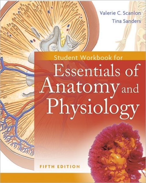 Student Workbook for Essentials of Anatomy and Physiology, Paperback / softback Book