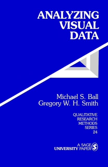 Analyzing Visual Data, Paperback / softback Book