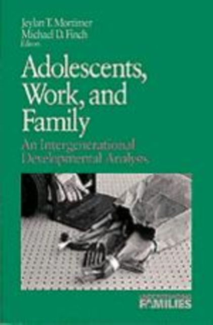 Adolescents, Work, and Family : An Intergenerational Developmental Analysis, Hardback Book