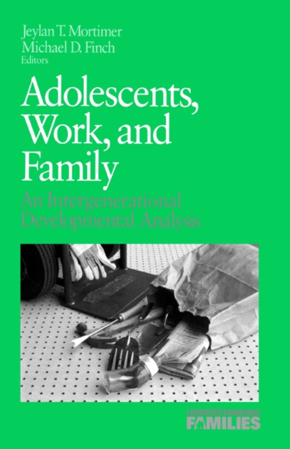 Adolescents, Work, and Family : An Intergenerational Developmental Analysis, Paperback / softback Book