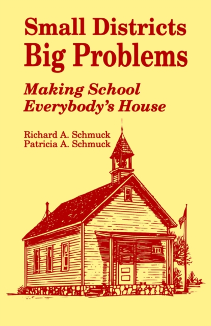 Small Districts, Big Problems : Making School Everybody's House, Paperback / softback Book