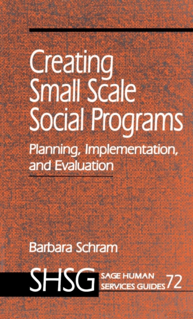 Creating Small Scale Social Programs : Planning, Implementation, and Evaluation, Hardback Book
