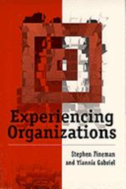 Experiencing Organizations, Hardback Book