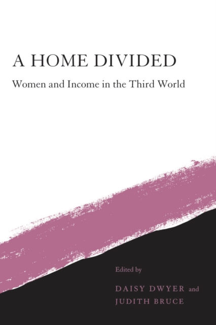 A Home Divided : Women and Income in the Third World, Hardback Book