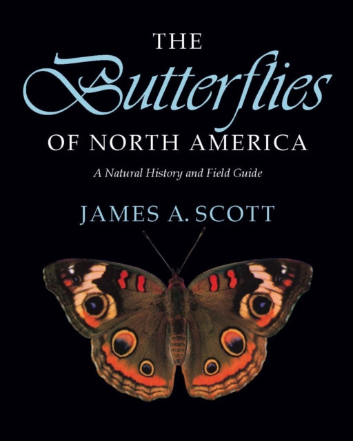 The Butterflies of North America : A Natural History and Field Guide, Paperback / softback Book