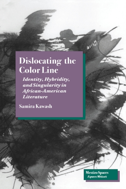 Dislocating the Color Line : Identity, Hybridity, and Singularity in African-American Narrative, Hardback Book