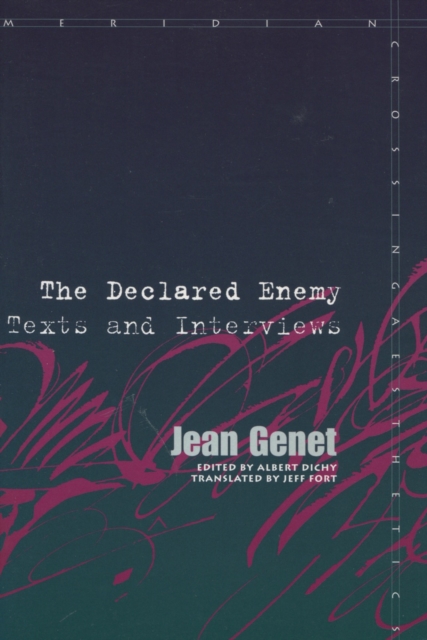 The Declared Enemy : Texts and Interviews, Hardback Book
