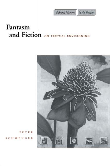 Fantasm and Fiction : On Textual Envisioning, Hardback Book