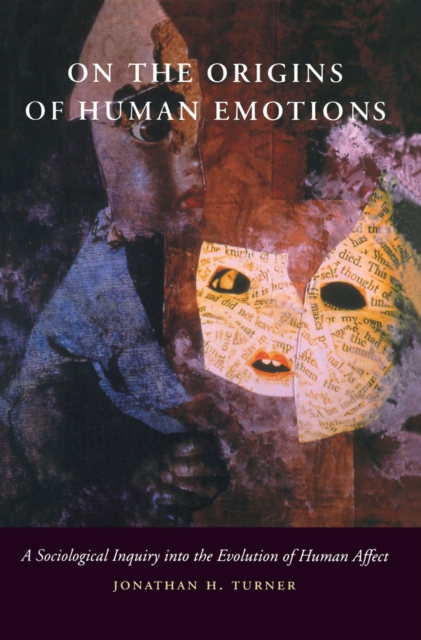 On the Origins of Human Emotions : A Sociological Inquiry into the Evolution of Human Affect, Paperback / softback Book