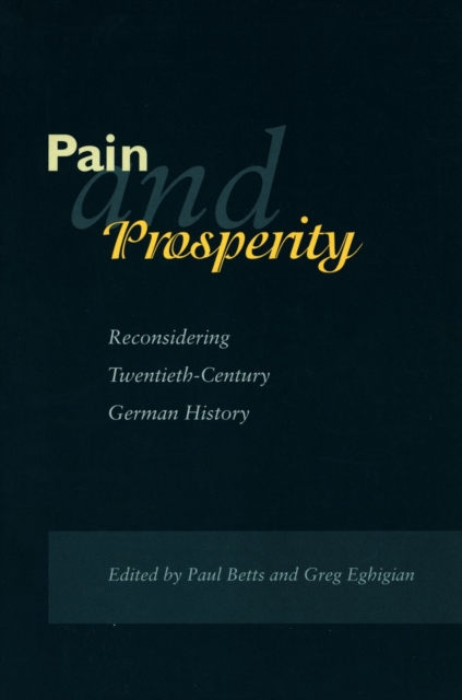 Pain and Prosperity : Reconsidering Twentieth-Century German History, Hardback Book