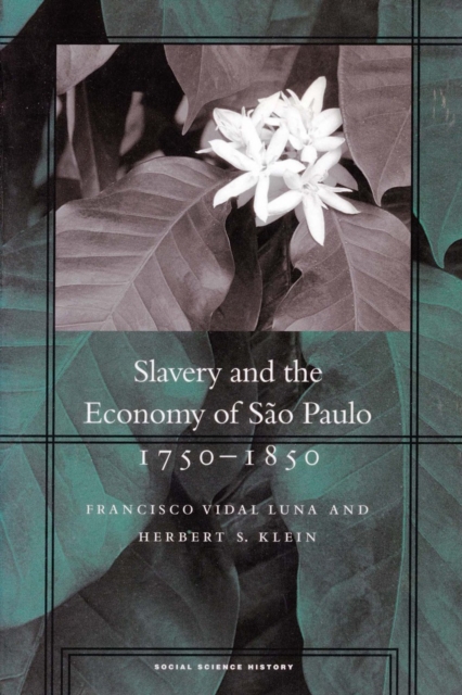 Slavery and the Economy of Sao Paulo, 1750-1850, Paperback / softback Book