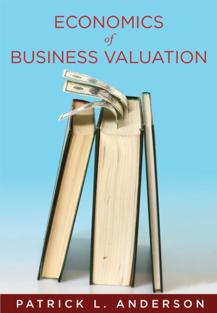 The Economics of Business Valuation : Towards a Value Functional Approach, Hardback Book