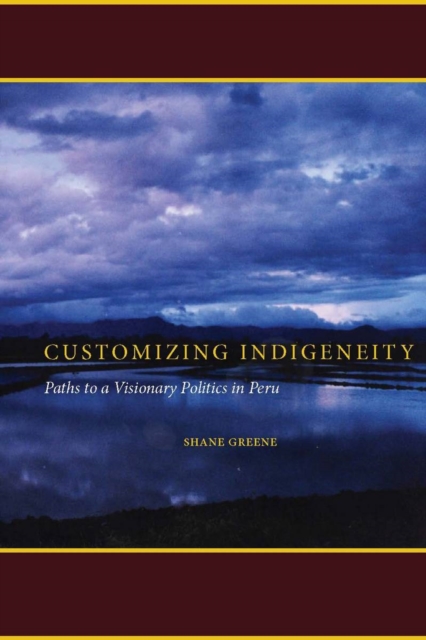 Customizing Indigeneity : Paths to a Visionary Politics in Peru, Paperback / softback Book