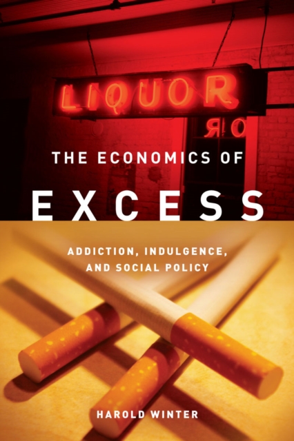 The Economics of Excess : Addiction, Indulgence, and Social Policy, Paperback / softback Book