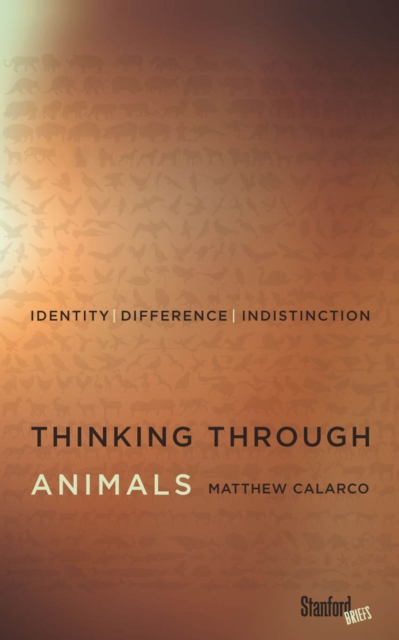 Thinking Through Animals : Identity, Difference, Indistinction, Paperback / softback Book