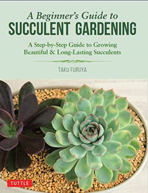 A Beginner's Guide to Succulent Gardening : A Step-by-Step Guide to Growing Beautiful & Long-Lasting Succulents, Paperback / softback Book