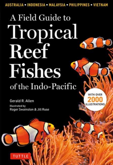 Field Guide To Tropical Reef Fishes Of The Indo Pacific, Paperback / softback Book