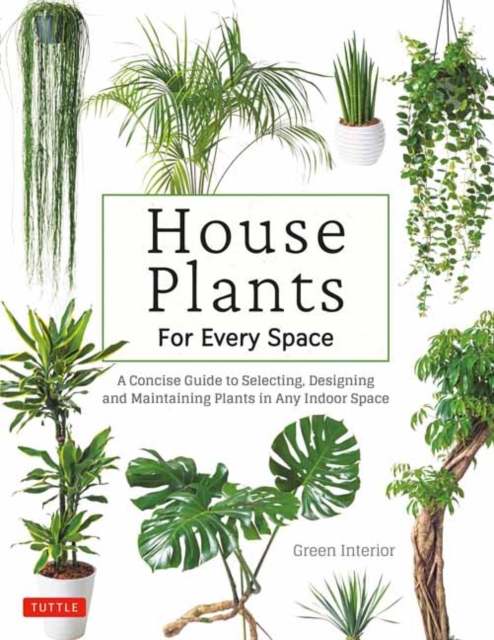 House Plants for Every Space : A Concise Guide to Selecting, Designing and Maintaining Plants in Any Indoor Space, Hardback Book