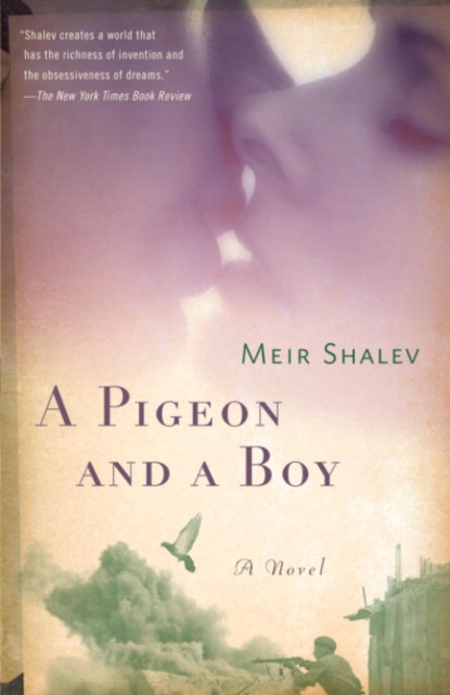 Pigeon and a Boy, EPUB eBook