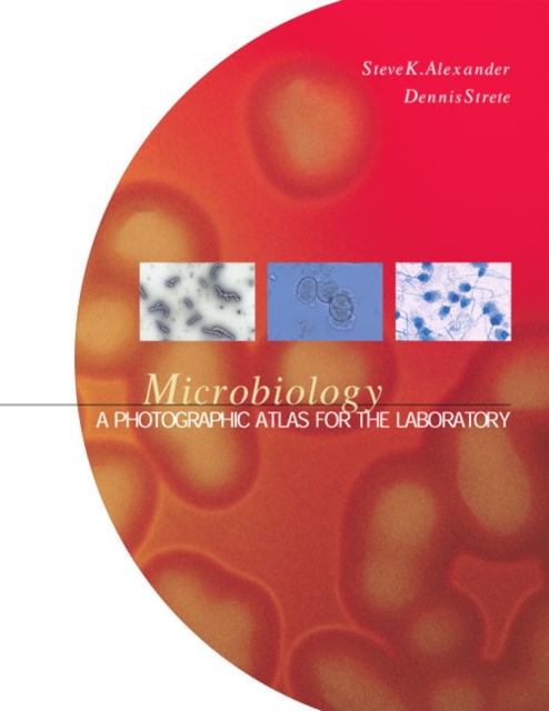 MICROBIOLOGY : PHOTOGRAPHIC     VOIR 30380           532732, Spiral bound Book