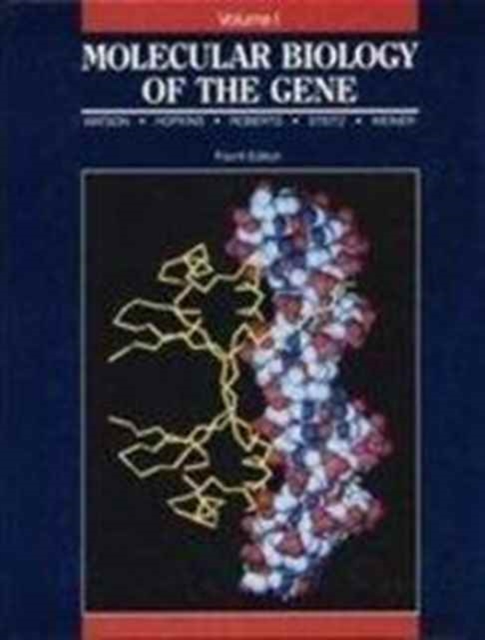 Molecular Biology of the Gene : v. 1, Paperback Book